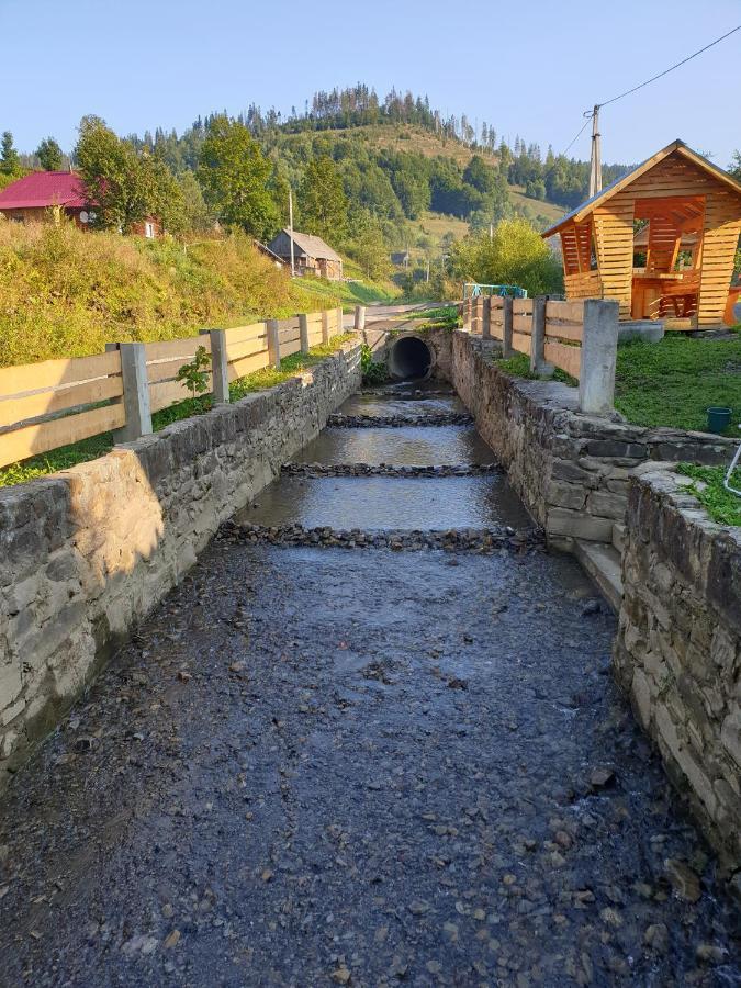 Садиба Віват Villa Oryavchyk Eksteriør billede